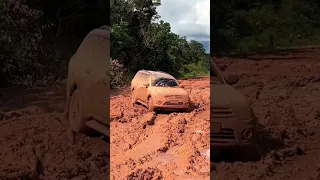 Pajero mostrando seu DNA!