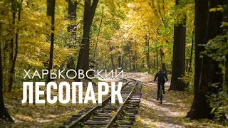 Харьковский лесопарк. МЮЖД. Мемориал Славы. НКВД.