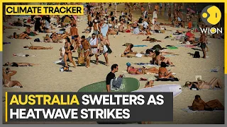 Scorching heat raises risk of bushfires in Australia | WION Climate Tracker