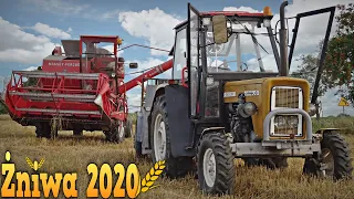 Co Kupiłem? Nowy NA*ZABYTEK*😱 Żniwa 2020 [Polska Wieś]🌾Naprawiamy Awarie & Obejście Po Gospodarstwie