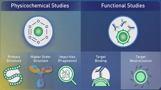 Biosimilars: Critical Quality Attributes