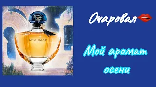 Shalimar  от Guerlain 🌷❤️. Аромат моей осени..