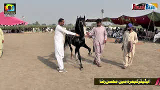 Kala Kanta ll Horse Dance ll Darbar Mian Vanveer Tukra 57/4 Naiabadi Kamalia