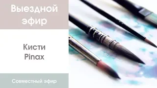 Выездной эфир: кисти Pinax