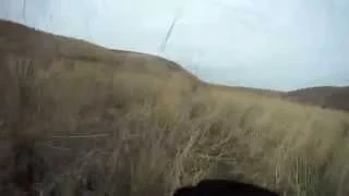 GoPro Upland Bird Hunting(Dog View)