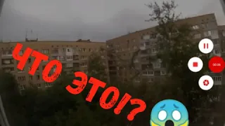 Палочник в Самаре, что это!?