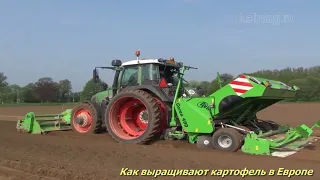 Голландская технология выращивания картофеля, техника для возделывания картофеля КОЛНАГ видео