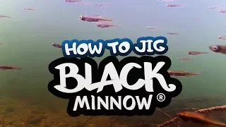 Как се води силикон fiiish black minnow / HOW TO JIG BLACK MINNOW