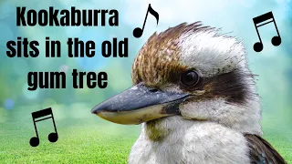 Learn the Kookaburra Song for Camp 🌞 Sing Along Fun for Counselors, Kids and Teens!