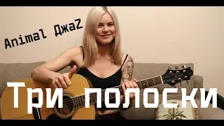 Animal ДжаZ - Три полоски (cover by Angel)