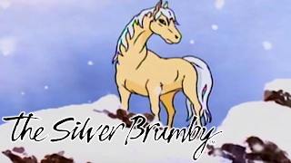 The Silver Brumby | Lost In The Snow and Fight To Freedom | FULL EPISODES