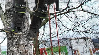 EDELRID Talon Tree Climbers - WTD Equipment