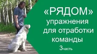 [Часть 3] Несколько упражнений для отработки команды РЯДОМ