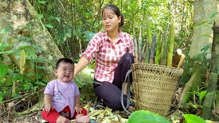 Picking bamboo shoots to sell and cook at the farm
