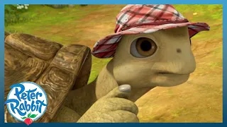 ​@OfficialPeterRabbit - 🐢 A TORTOISE With a Cool Trick! | ANIMAL TAKEOVER | Cartoons For Kids