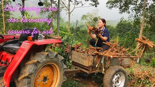 A highland girl drives a tractor to harvest cassava for sale @QuangMinhToan