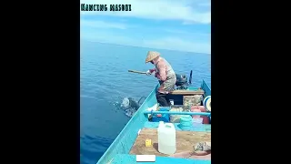 Rekor Mancing Ikan Tuna Monster DiLaut Maluku ❗ Seperti Menarik Kapal