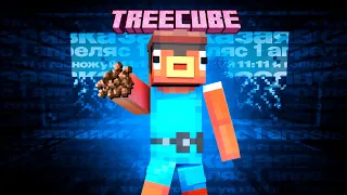 Лучшая заявка на приватный сервер ютуберов TREECUBE | Xs3ert