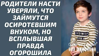 Родители невестки уверяли, что займутся осиротевшим внуком, но всплывшая правда огорошила