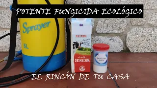 FUNGICIDA  DE LECHE Y BICARBONATO contra mildiu/Oidio/Roya