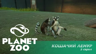 Planet Zoo: кошачий лемур #3