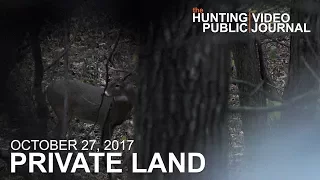 Private Land: October 27 - Close Encounter in the Timber Stand | The Hunting Public