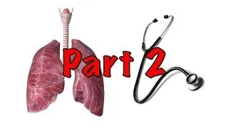 Introduction to the respiratory examination  part 2