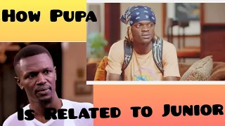 Next on Becky Citizentv How Pupa is Related to Junior katana