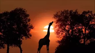 Wonderful Africa Chill out music