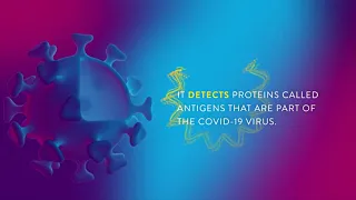 STOP THE SPREAD| Abbott Panbio™ COVID-19 Antigen self-test