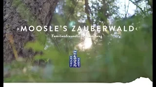 Moosle's Zauberwald