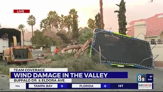 Strong winds cause damage, fallen trees as storm hits Las Vegas valley