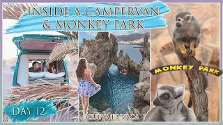 🌴 TENERIFE DAY 12 | MONKEY PARK & Cueva la Vaca