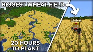 We Made a HUGE Wheat Field in Survival Minecraft And It Took Over 20 HOURS