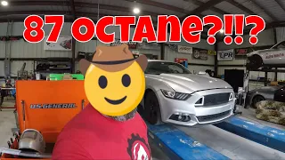 How Much Power Does a 2015 EcoBoost Mustang Make on the Dyno with Regular 87 Octane?