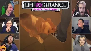 Gamers Reactions to the Puppy Pompidou | Life is Strange: Before the Storm Episode 2