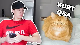 Are We Getting Another Cat?...