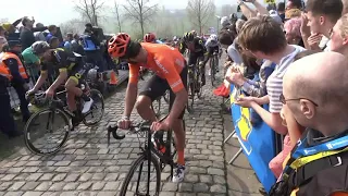 DE RONDE VAN VLAANDEREN /TOUR DES FLANDRES 2019