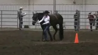 4-H Western Horse Showmanship