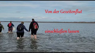 Juist - Watt-und Gezeitenwanderung auf der Nordseeinsel | Jan´s Entdeckertouren