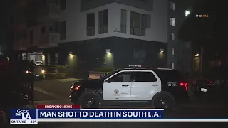 Man shot to death in South LA