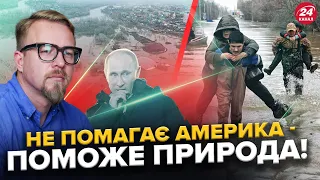 На США більше НЕ МОЖНА РОЗРАХОВУВАТИ? / Макрон і Кемерон дадуть Україні ВСЕ / Природа на нашому боці