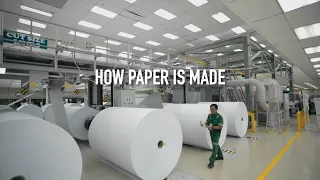 How Paper Is Made