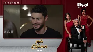 Shajar-e-Mamnu | Episode 345 Teaser | Turkish Drama | Forbidden Fruit | Urdu Dubbing | 5 April 2022