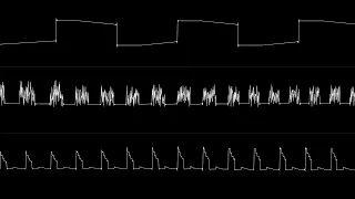 Yerzmyey - FIfteen Colours (ZX Spectrum) [Oscilloscope view]