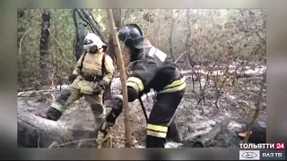 Лесные пожары в Борском районе локализованы («Новости Тольятти» 25.08.2021)