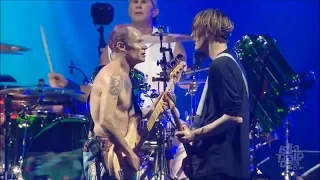 Dark Necessities - Red Hot Chili Peppers (Live HD 2016)