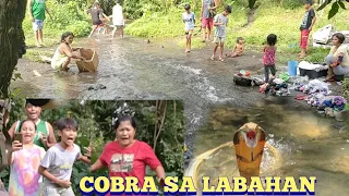 KINAKATAKUTANG COBRA NG MGA LABANDERA HULI KAY COBRAPRINCE .