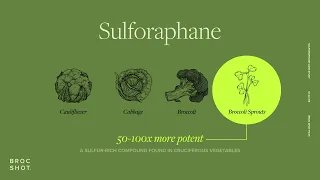 Sulforaphane (Sul-For-Ah-Fane) Guide