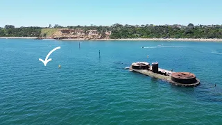 Spearfishing Snapper and Salmon in Half Moon Bay, Melbourne